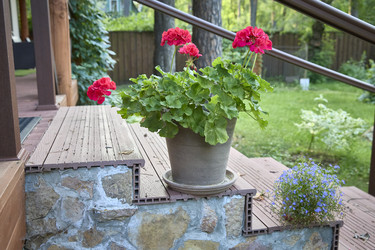 Similar image 22092543