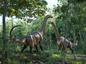 Similar image 22084262