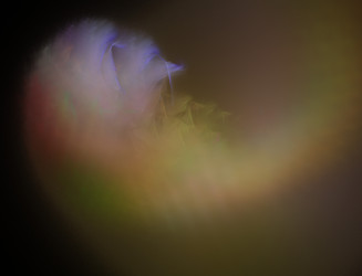 Similar image 22085618