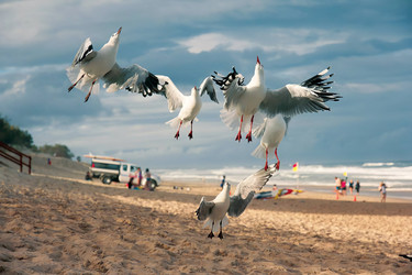 Similar image 22085234