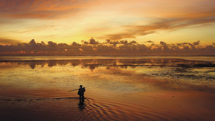 Similar image 22085236