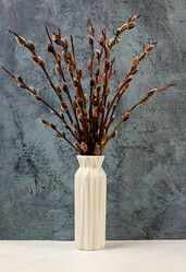 Similar image 22085548