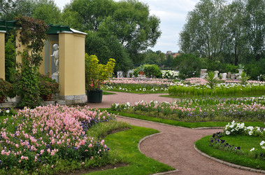 Similar image 22085257