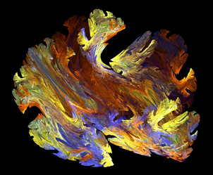 Similar image 22085040