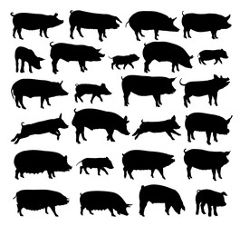 Similar image 22087694