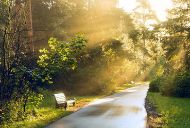 Similar image 22085294