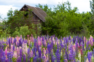 Similar image 22089149