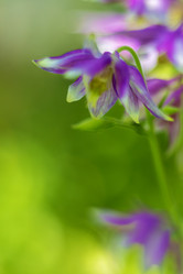 Similar image 22089150