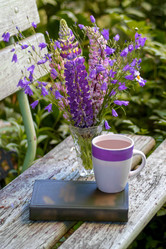 Similar image 22089151