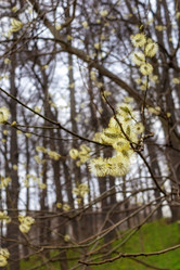 Similar image 22089156