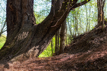 Similar image 22089159