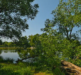 Similar image 22085352