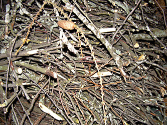 Similar image 22086121