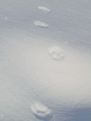 Similar image 22086123