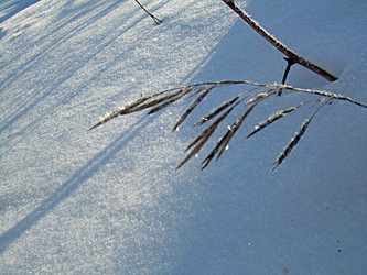 Similar image 22086125