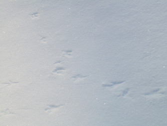 Similar image 22086220