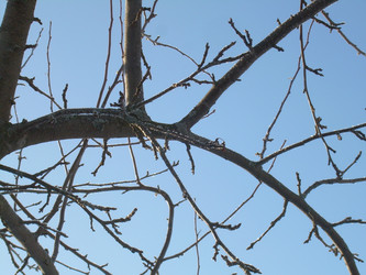 Similar image 22086223