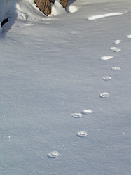 Similar image 22086224