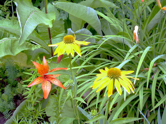 Similar image 22086230