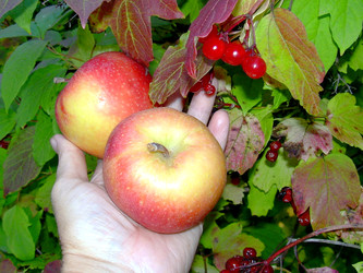 Similar image 22086232