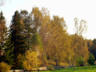 Similar image 22086234