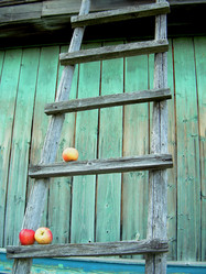 Similar image 22086238