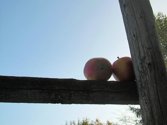 Similar image 22086242