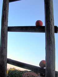 Similar image 22086243