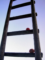 Similar image 22086244