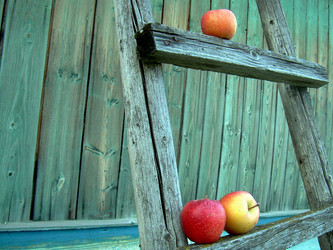 Similar image 22086246