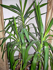 Similar image 22086248