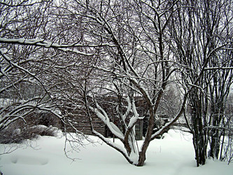 Similar image 22086251