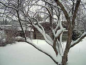 Similar image 22086252