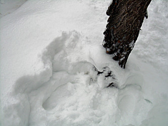 Similar image 22086253