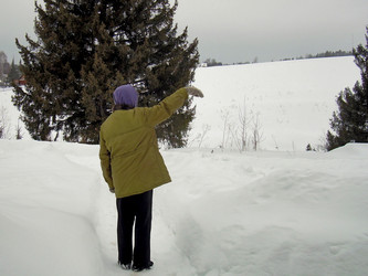 Similar image 22086254