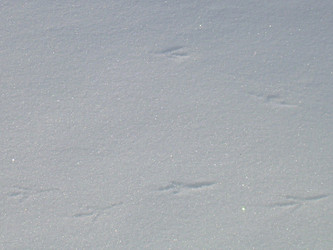 Similar image 22086261