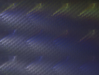 Similar image 22091717