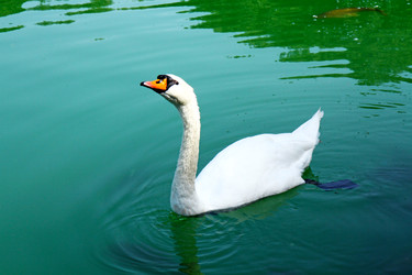 Similar image 22086170