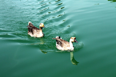 Similar image 22086181