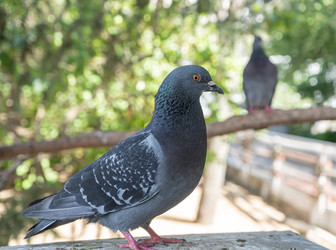 Similar image 22087679