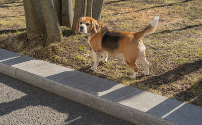 Similar image 22087680