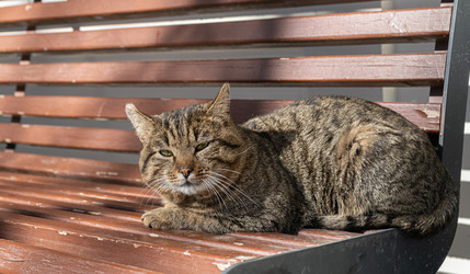 Similar image 22087681