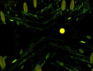 Similar image 22091438