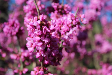 Similar image 22092349