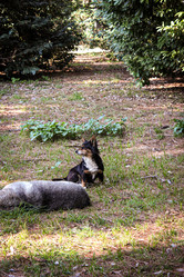 Similar image 22092350