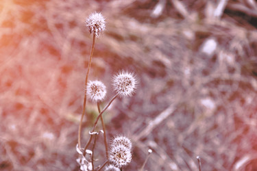 Similar image 22086190