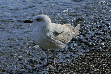 Similar image 22087820