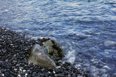 Similar image 22087823