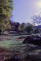 Similar image 22087825