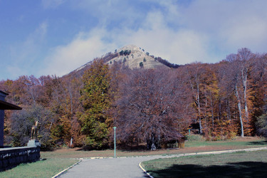 Similar image 22087826